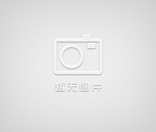 *茂仁MN-5110XL限位開關 壓力保護開關